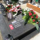 zdjęcie nr 24