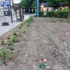 Skwerek przy wyremontowanej ulicy pięknieje