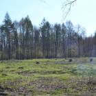 zdjęcie nr 38