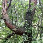 zdjęcie nr 24