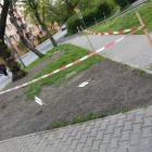 Fotka nr 2 z 4
