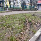 Rozjeżdżony zieleniec zamiast parkingu