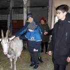 zdjęcie nr 11