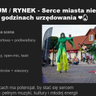 Jaki pomysł na miasto ma nowa prezydent Mysłowic?
