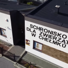 Fotka nr 4 z 5