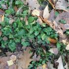 Fotka nr 0 z 3