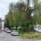 Wichura w Mysłowicach