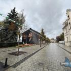 zdjęcie nr 7