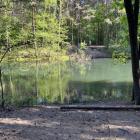 Dolina Żabnika