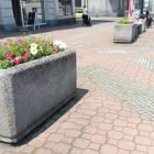 Nowe kwiaty na Rynku i w okolicach