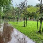 Zalany Park Zamkowy