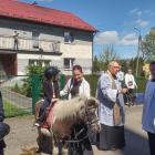 zdjęcie nr 20