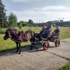 zdjęcie nr 40