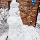 zdjęcie nr 41