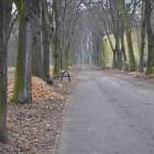 zdjęcie nr 16