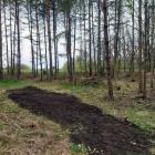 Mieszkańcy Mysłowic wzięli sprawy w swoje ręce: Kępa Krasowska posprzątana