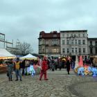 zdjęcie nr 10
