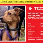 zdjęcie nr 12