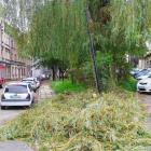 zdjęcie nr 7