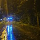 Przewrócone drzewo na ul. Ziętka. Fot. PSP Mysłowice