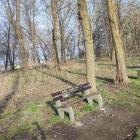zdjęcie nr 7