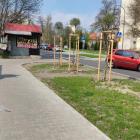 zdjęcie nr 7