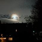 zdjęcie nr 7