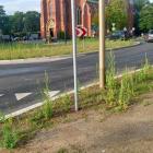 zdjęcie nr 8