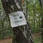 zdjęcie nr 10