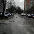 Fotka nr 5 z 6