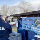 Przedświąteczne kontrole ryb. Policja i Straż Rybacka apelują o legalne i humanitarne...