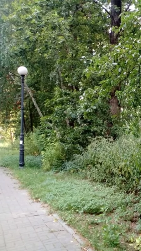 Po problemach z latarniami na Rynku czas na Bończyk. Mieszkanka musi chodzić z latarką
