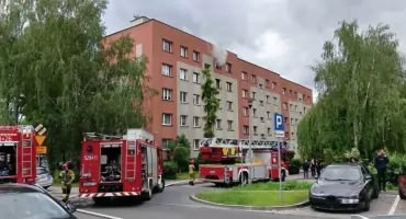 Pożar w mieszkaniu na ul. Armii Krajowej. Lokatorzy są cali, nie przeżył pies