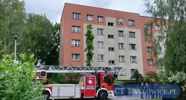 Stracili dach nad głową i ukochanego czworonoga. Trwa zbiórka po pożarze w Mysłowicach