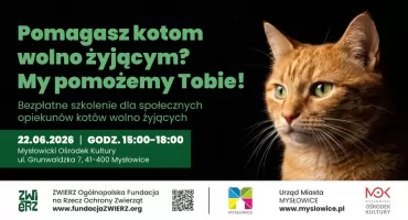 Urząd Miasta Mysłowice organizuje bezpłatne szkolenie dla opiekunów kotów wolno żyjących