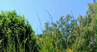 Ogród, miejsce nad wodą, działka rekreacyjna? A jak Mysłowiczanie spędzają upalny czerwcowy weekend?