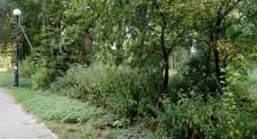 Po problemach z latarniami na Rynku czas na Bończyk. Mieszkanka musi chodzić z latarką